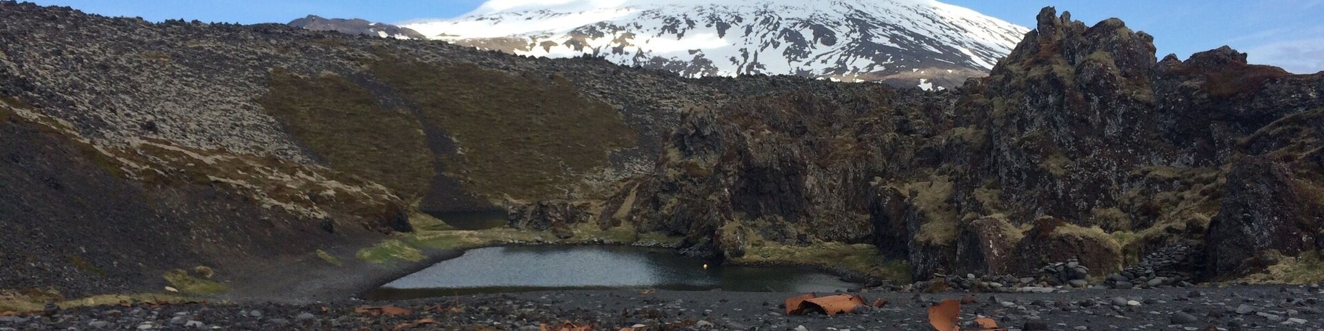 Un paisaje rocoso con un pequeño estanque, una montaña nevada al fondo y hojas dispersas.