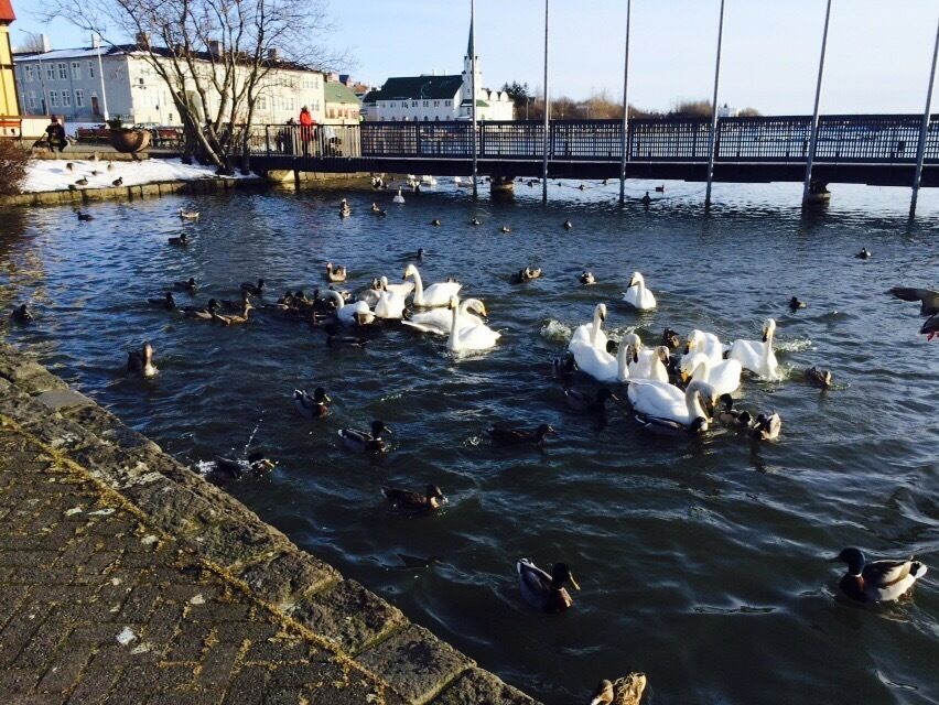 Great place to sit and relax by the water. Just be careful, some of the birds get aggressive for food!