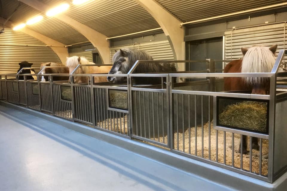 A stable with metal railings and hay for horses.