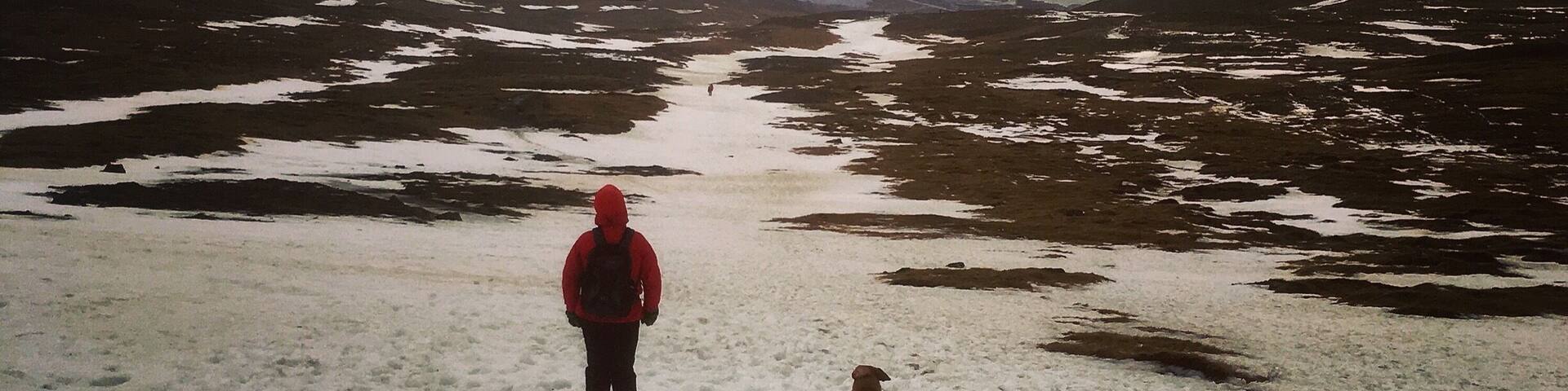 We went for a awsome #hike this morning, on mt. Esja 587 meters, it was not very easy, we had a lot of wind, ice and snow, but on the way down it was possible to stop and enjoy this beautiful view đđđ»đ¶
#iceland
#hiking