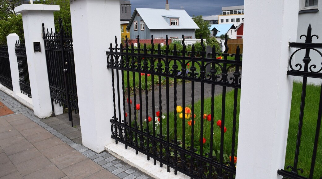 Spotted in downtown Reykjavik. Thought the contrast between the black and white fence and the colours of the flowers made the photo pop.