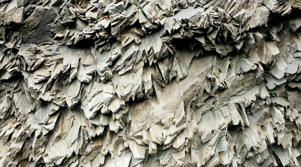 Black sand beach in Iceland