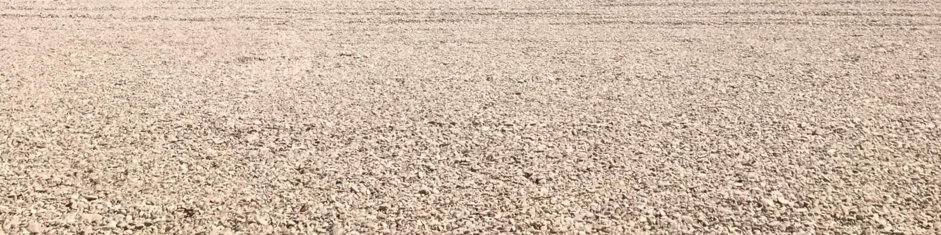 Along the coast of the Marche, Marotta