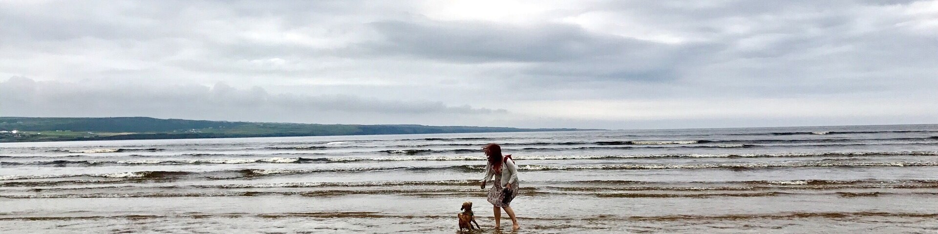 Windy beach with dog and owner
