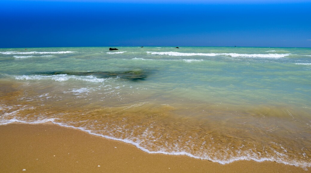 Adruiatic sea Silvi Marina summer