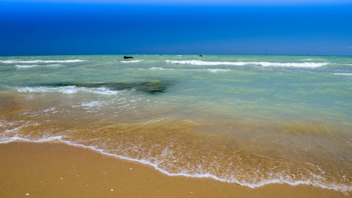 Adruiatic sea Silvi Marina summer