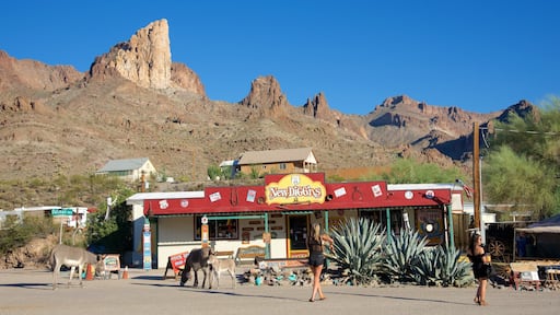 Oatman showing desert views and street scenes