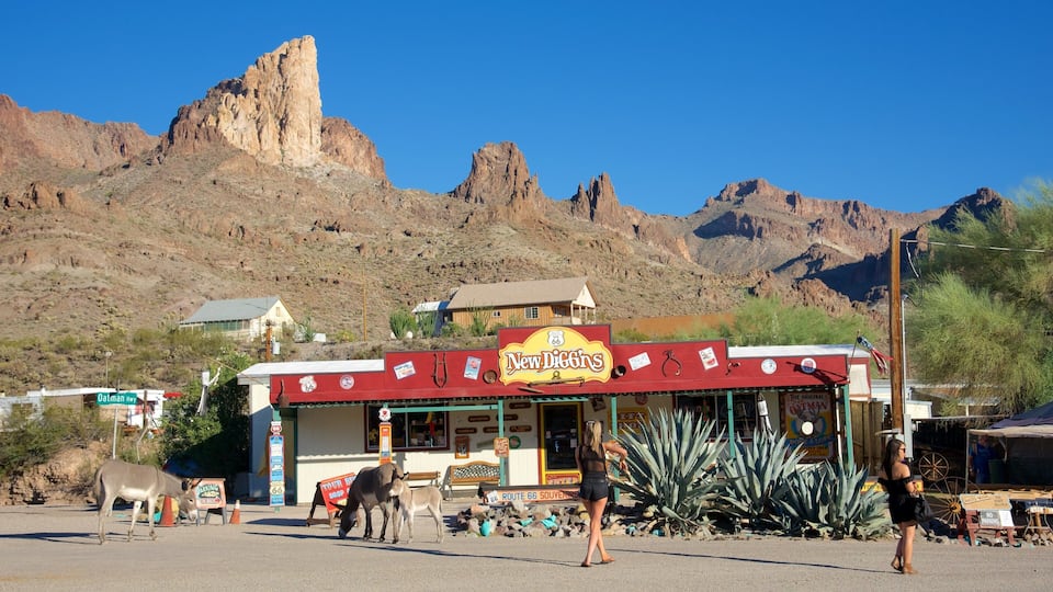 A store named 'New Diggins' with a signboard, a mountain range in the background, and a clear blue sky.