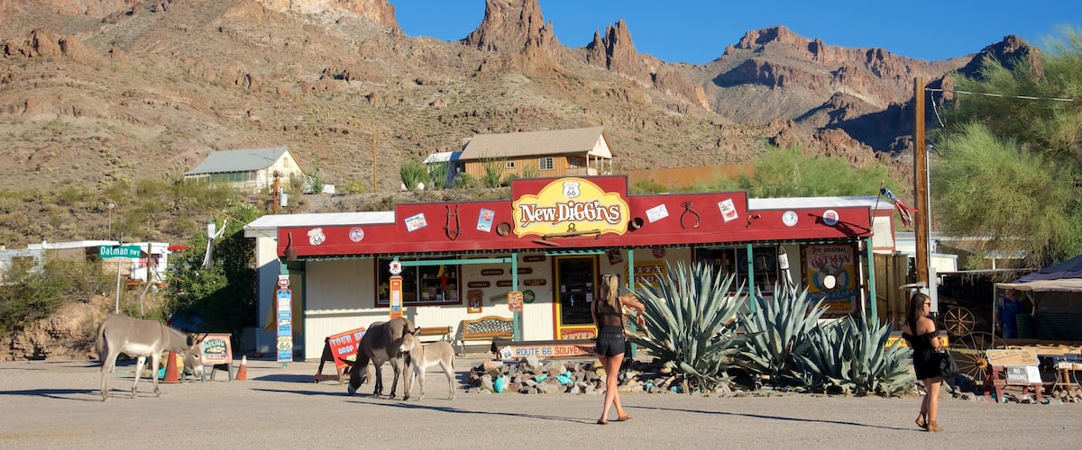 A store named 'New Diggins' with a signboard, a mountain range in the background, and a clear blue sky.