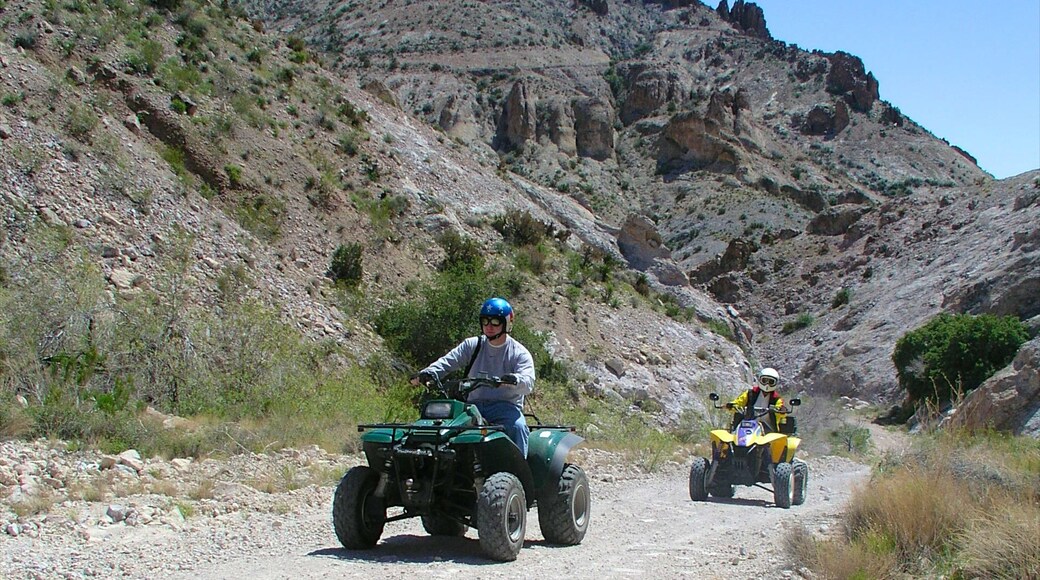 Bullhead City que incluye paseos en moto y montañas
