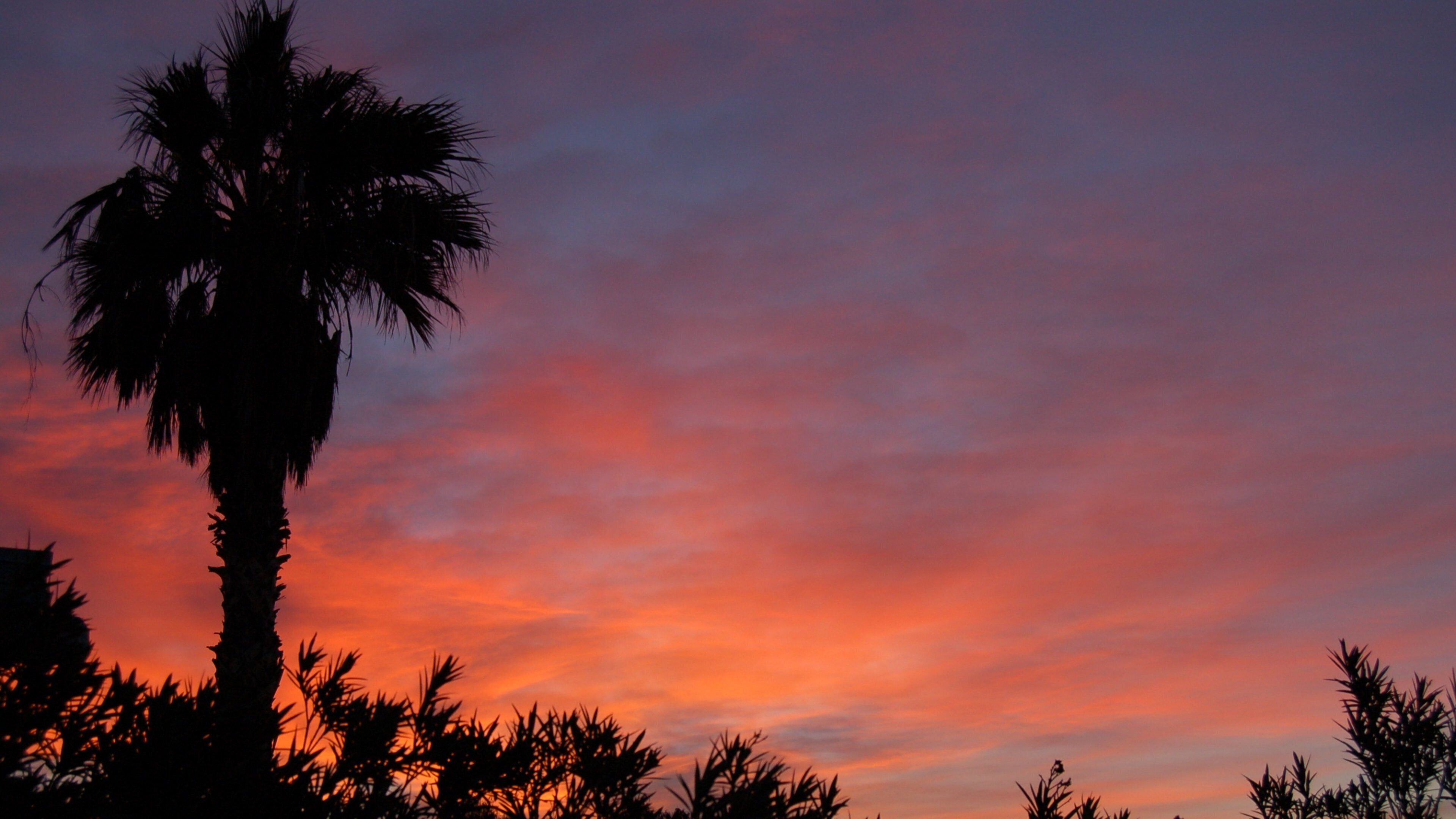 Bullhead City som inkluderer solnedgang