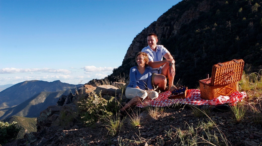 Sierra Vista showing picnicing as well as a couple