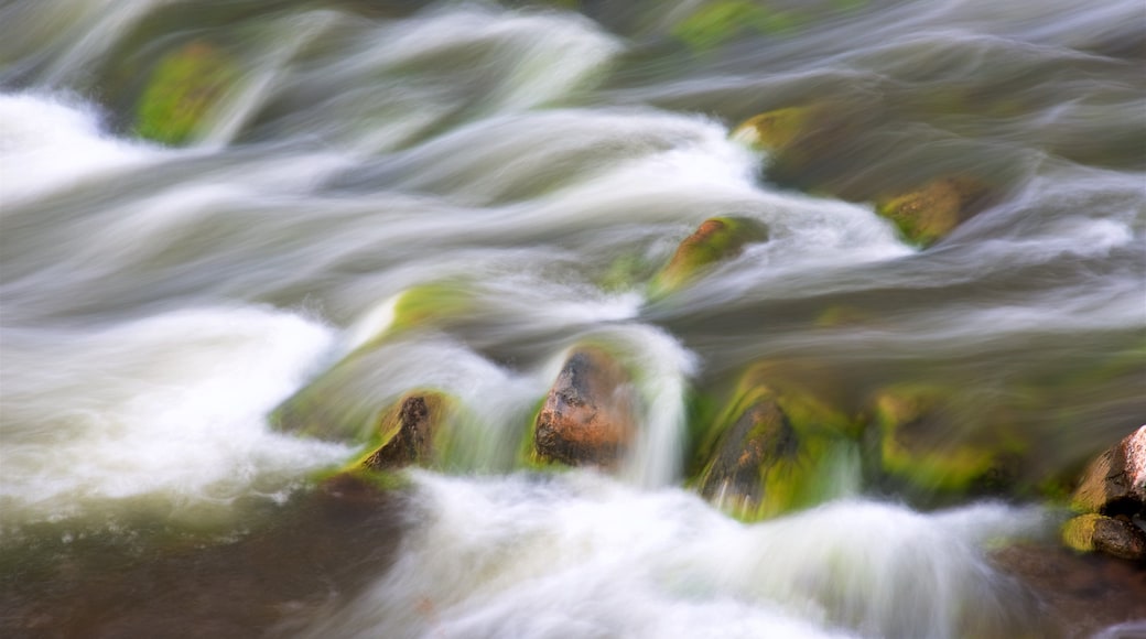 Central Arizona showing rapids