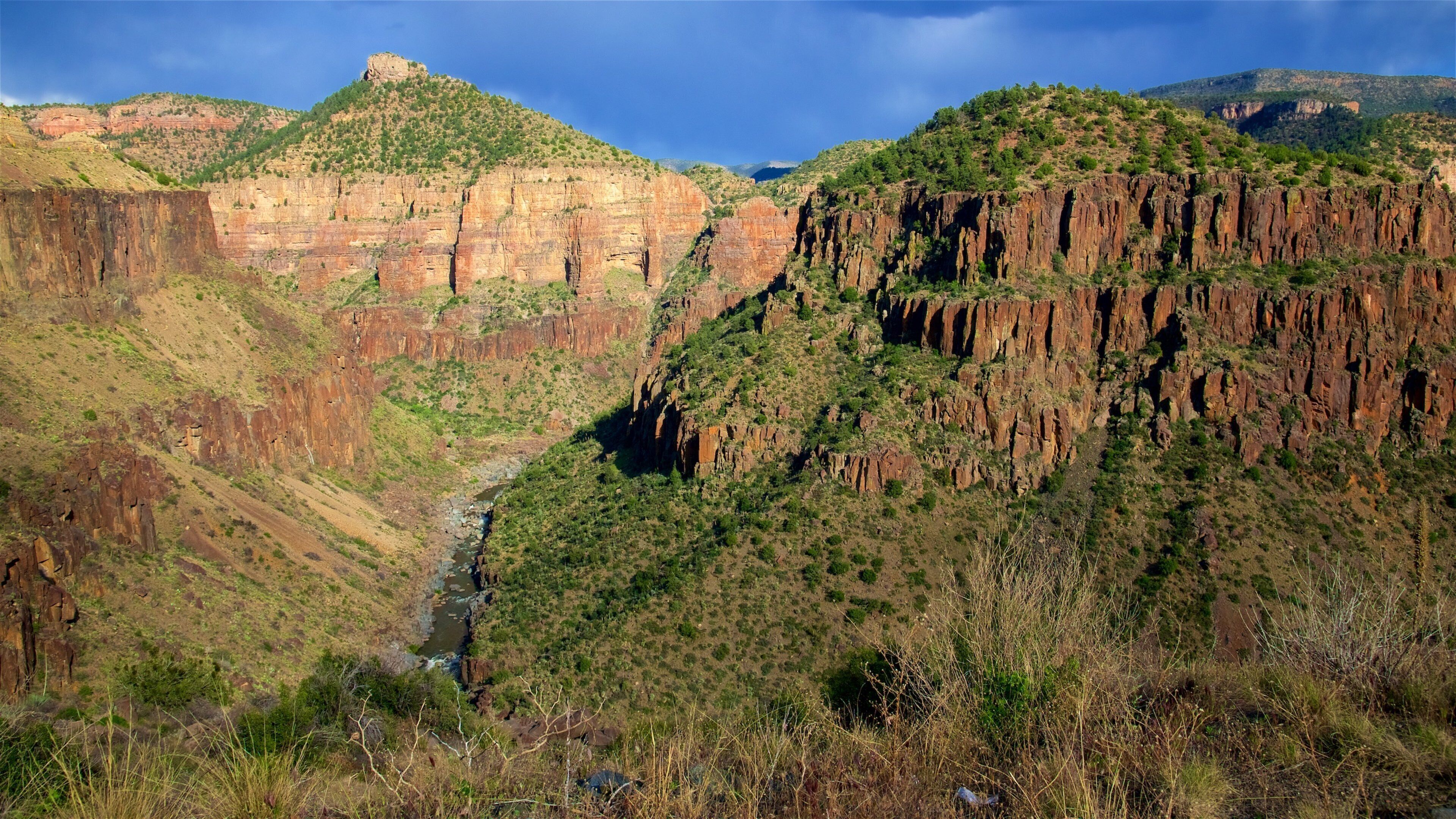 A canyon with steep cliffs, a river, and sparse vegetation.