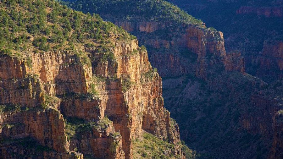 Central Arizona showing a gorge or canyon and tranquil scenes