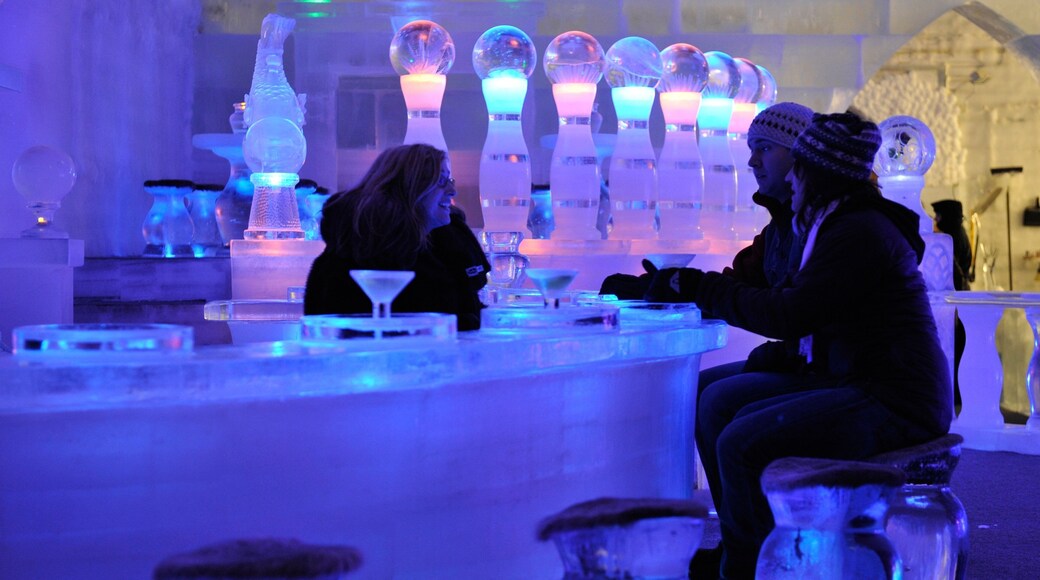 Chena Hot Springs featuring a bar and interior views as well as a small group of people