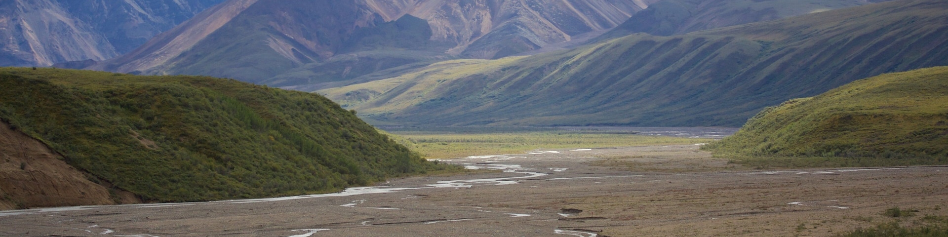 Denali National Park showing farmland
