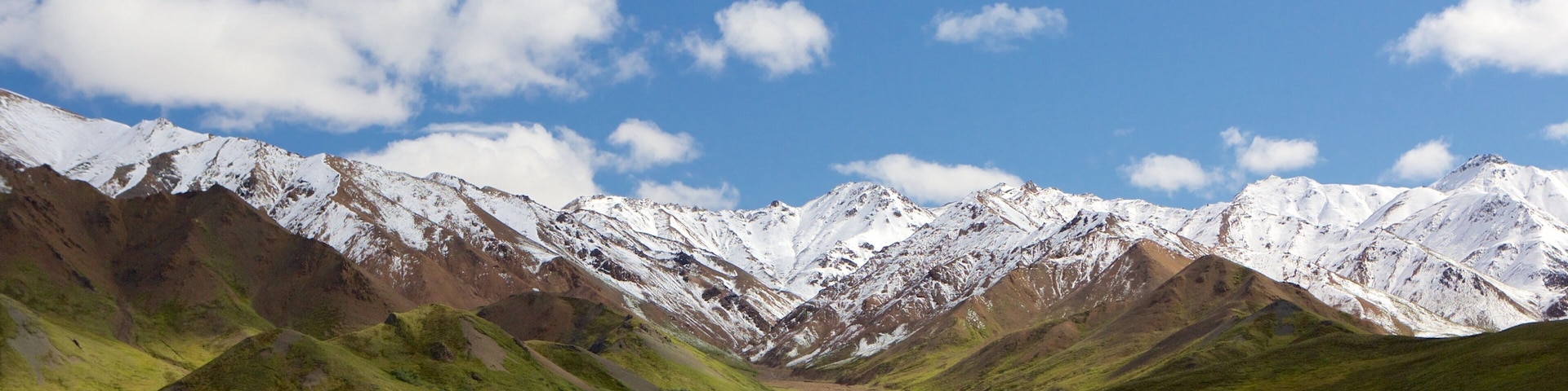 Parque Nacional de Denali que incluye montañas y nieve