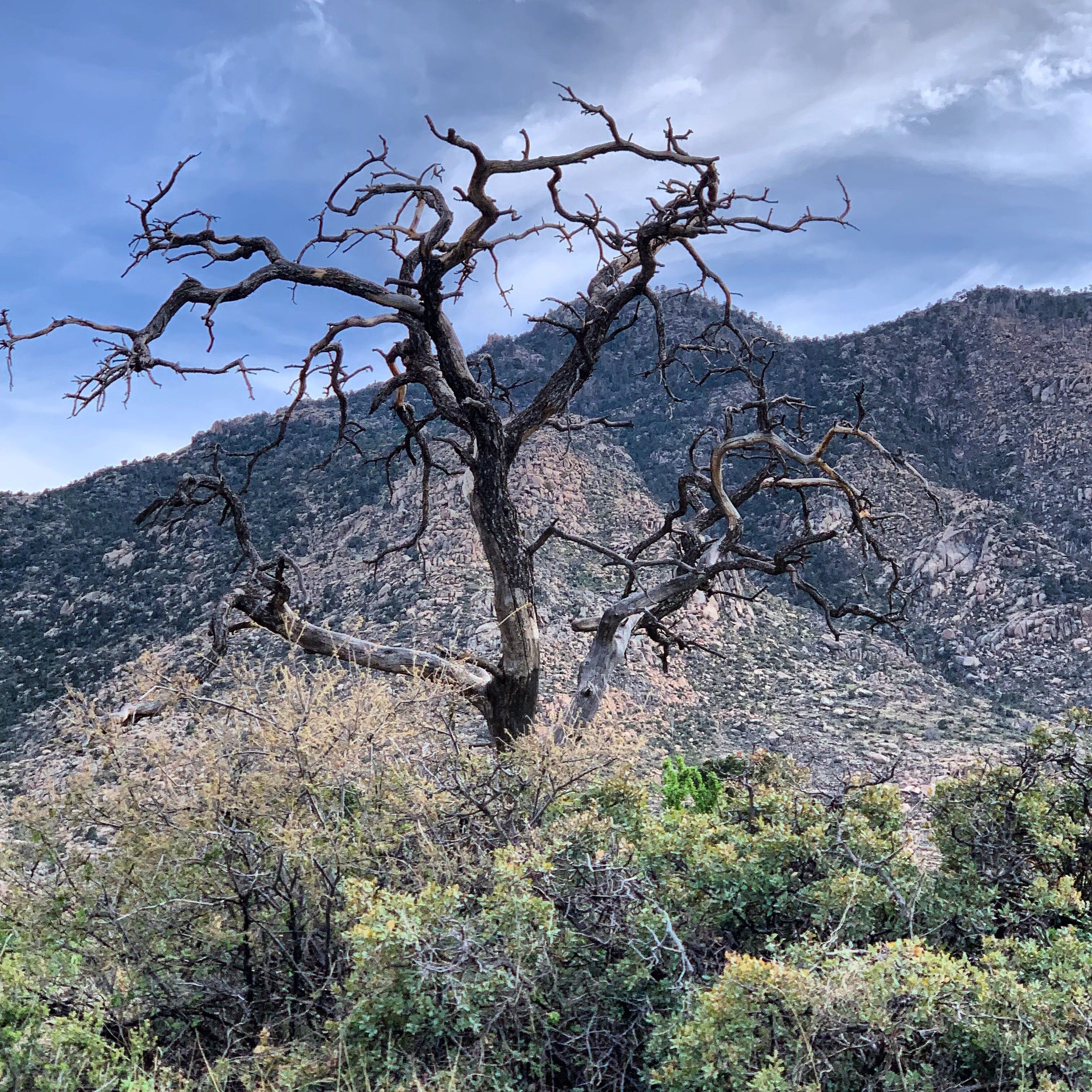 Only the strong survive, Granite mountain trailhead #adventure