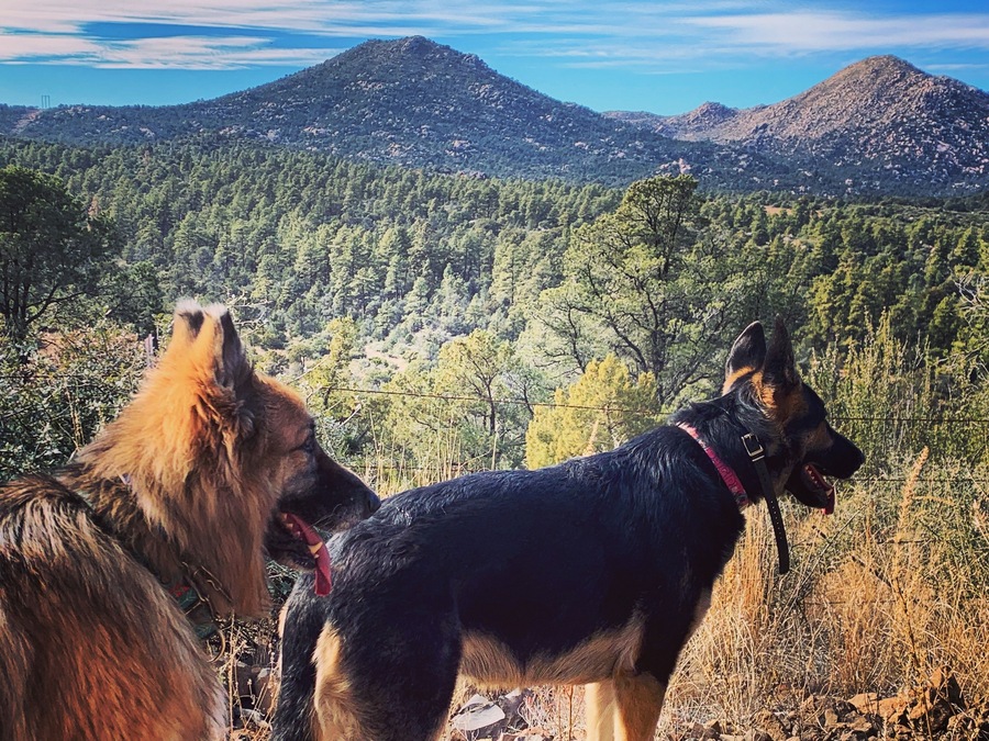Prescott Arizona has great hikes. #adventure