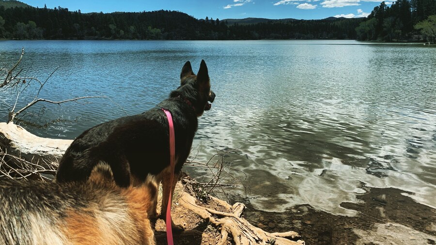 Finding peace in the calm waters #adventure