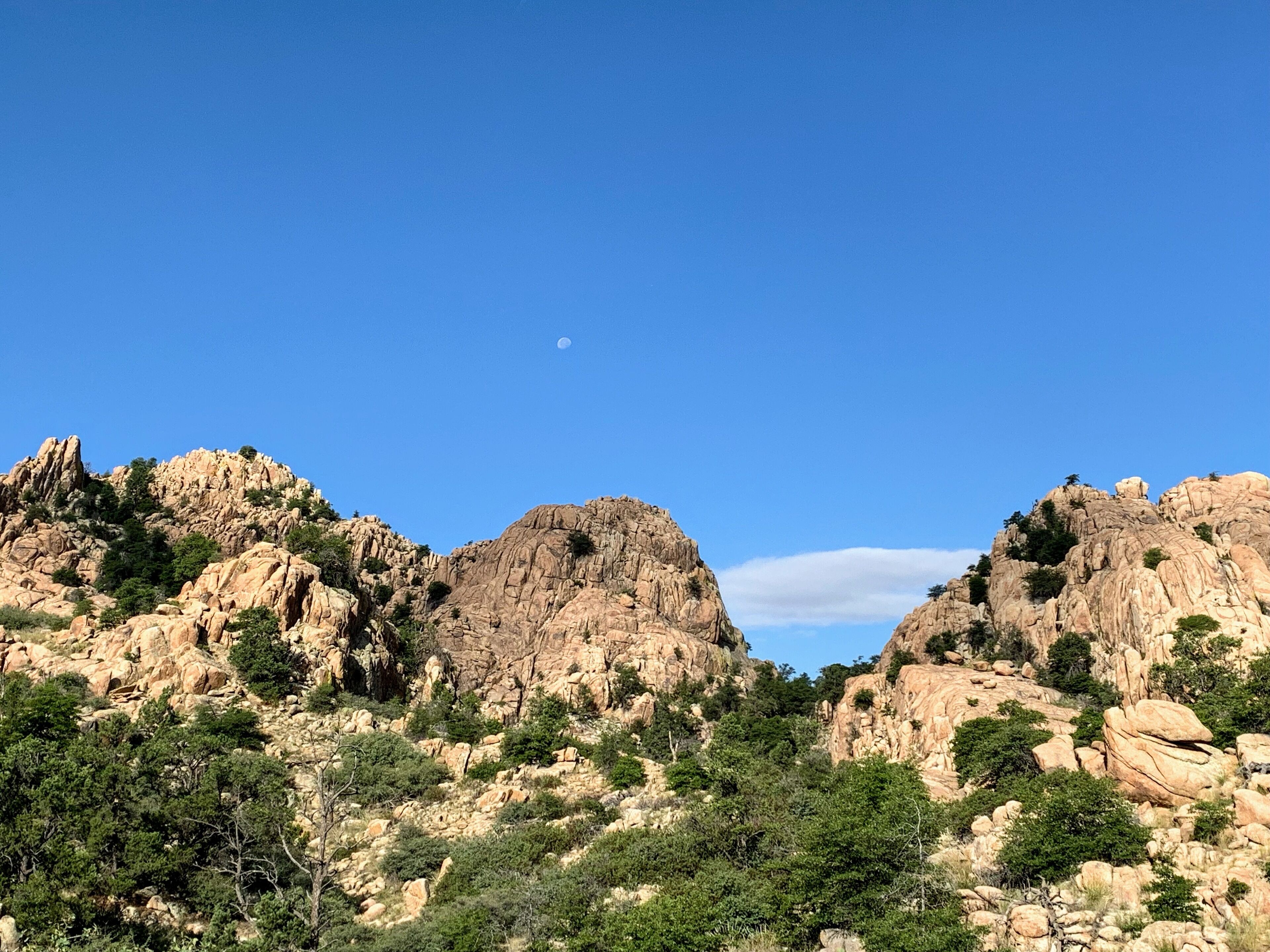 This trail provides a wide range of topography #Prescott #Arizona # adventure 