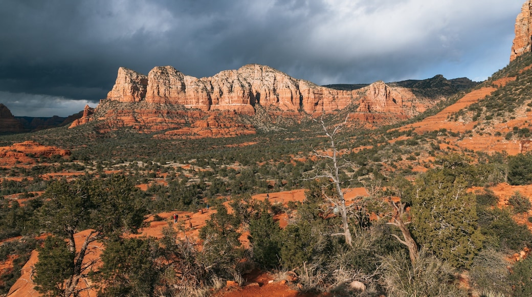 Sedona featuring landscape views, a gorge or canyon and desert views