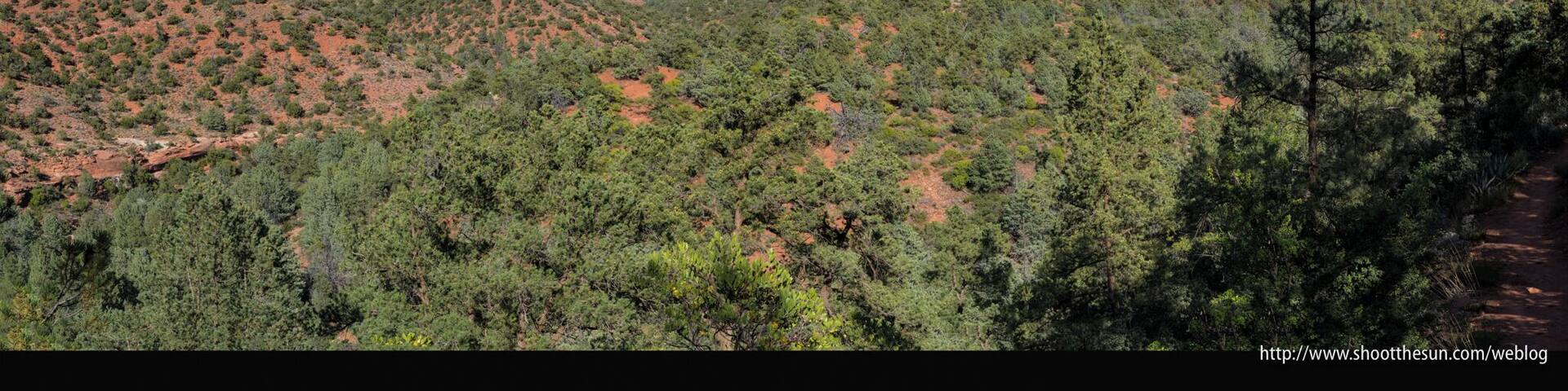 The broad expanse of Damfino Canyon stretches out before you as you begin your trek down the Munds Wagon Trail. This is about a mile into the journey (and, truth be told, was taken on the return trip).
You can see the trail heading off into the shadows to the lower right of the photo.