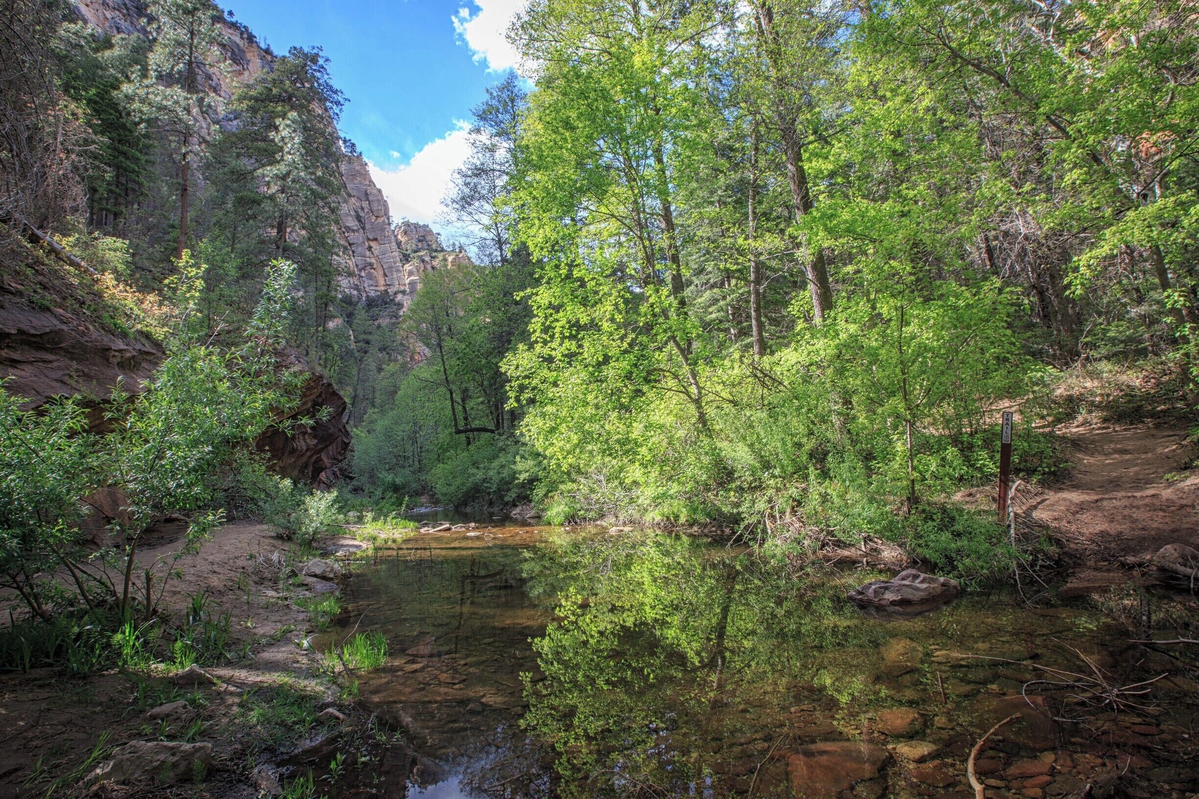 I recommend the West Fork of Oak Creek Trail if you're ever in Sedona. It's an easy hike and very lovely.  