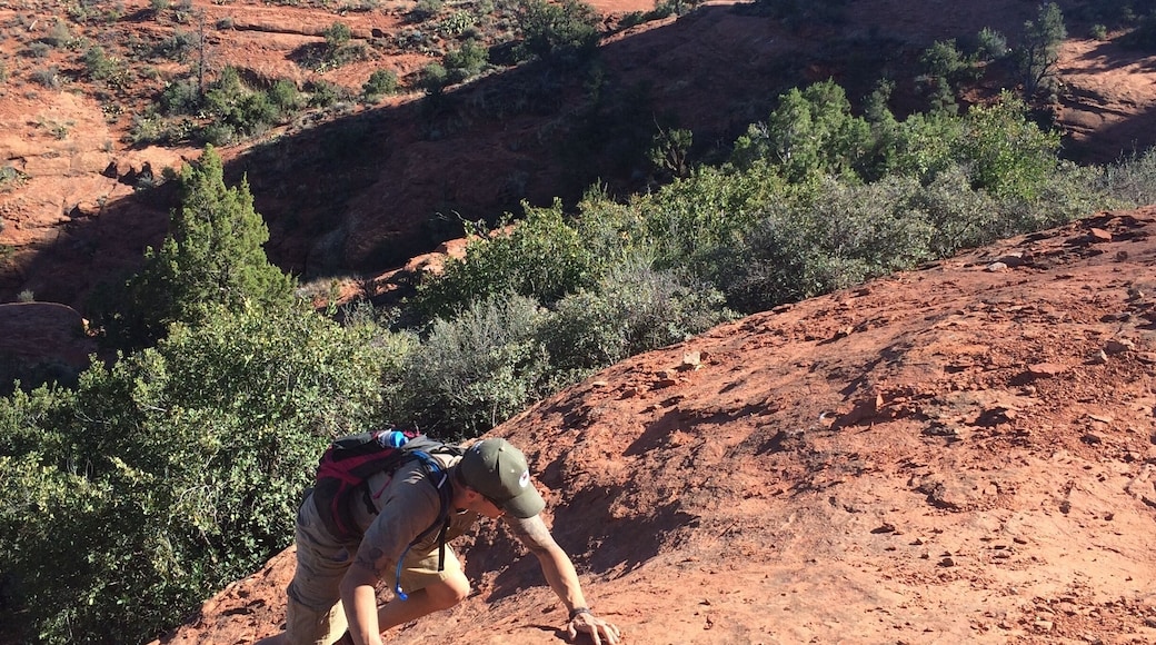 There is some climbing involved on the path up to Cathedral Rock. Its a neat 1 1/2 hour adventure/workout on the red rocks up to the "Saddle" where everyone stops and takes pictures. Many people claim it as their favorite hike in Sedona.
