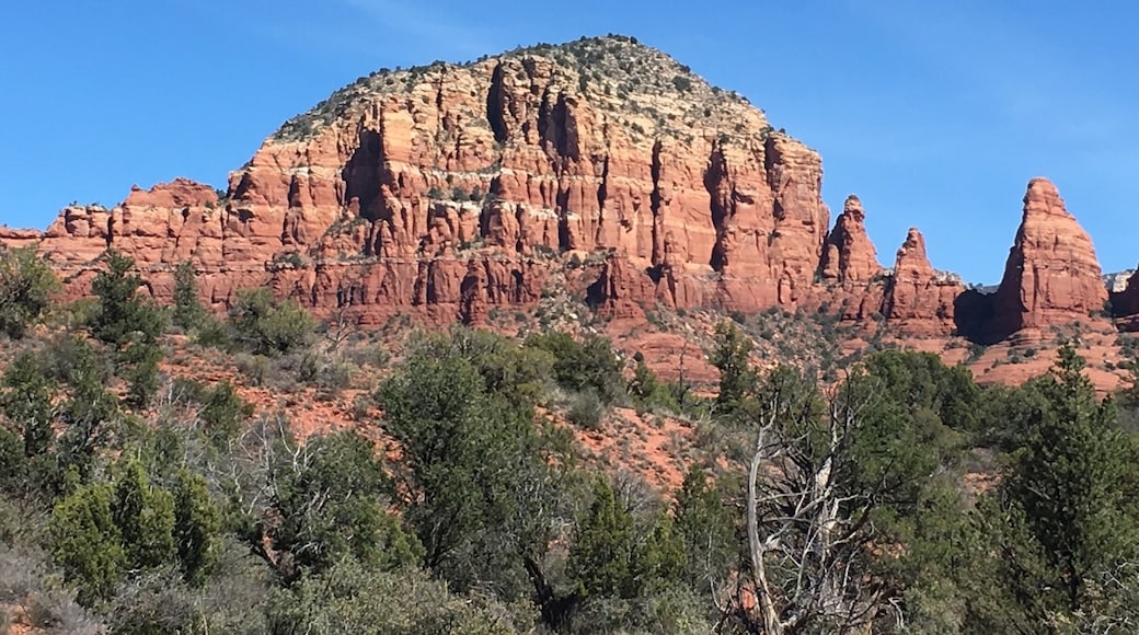 Such a peaceful place.