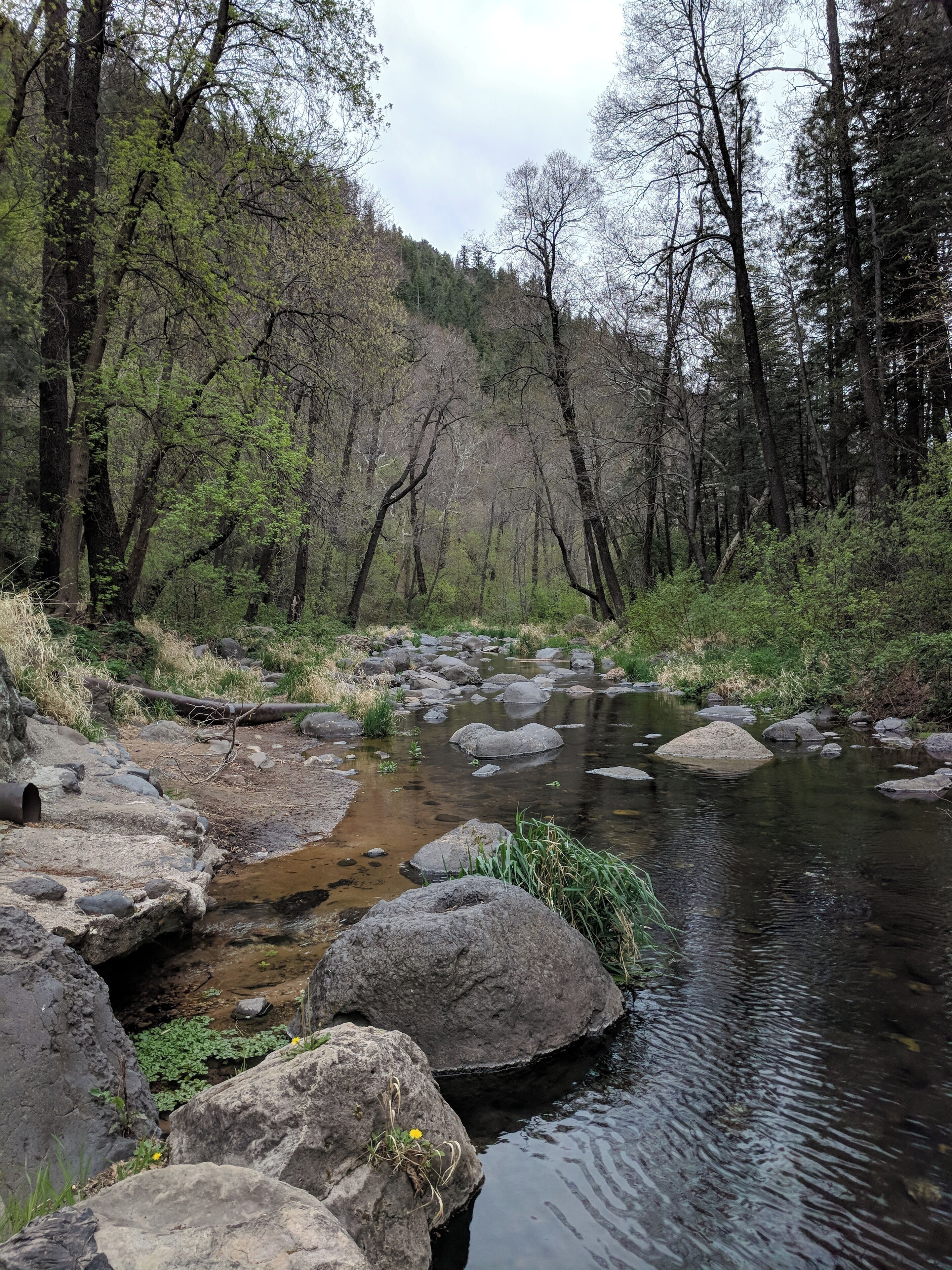 Just off 89A between Flagstaff and Sedona...there are tons of little turn offs, make sure you stop and take a look around at the bottom of the canyon!