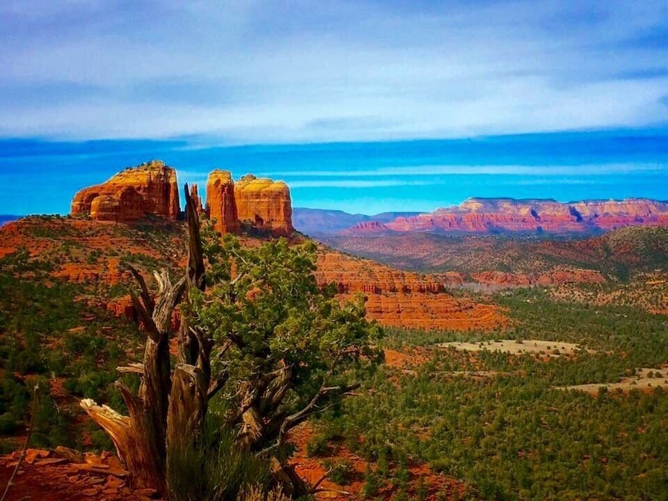 Paisaje desértico con formaciones rocosas rojas y un cielo azul despejado.