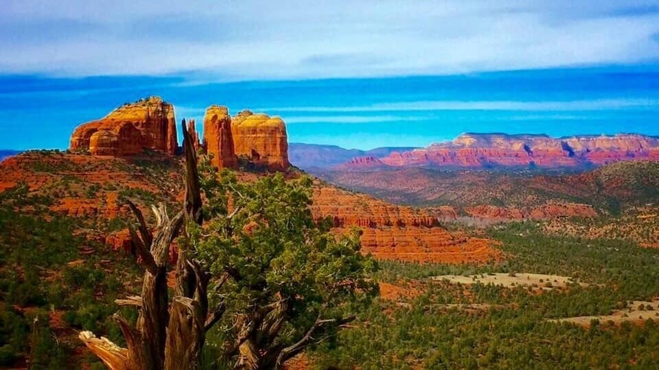 Paisaje desértico con formaciones rocosas rojas y un cielo azul despejado.