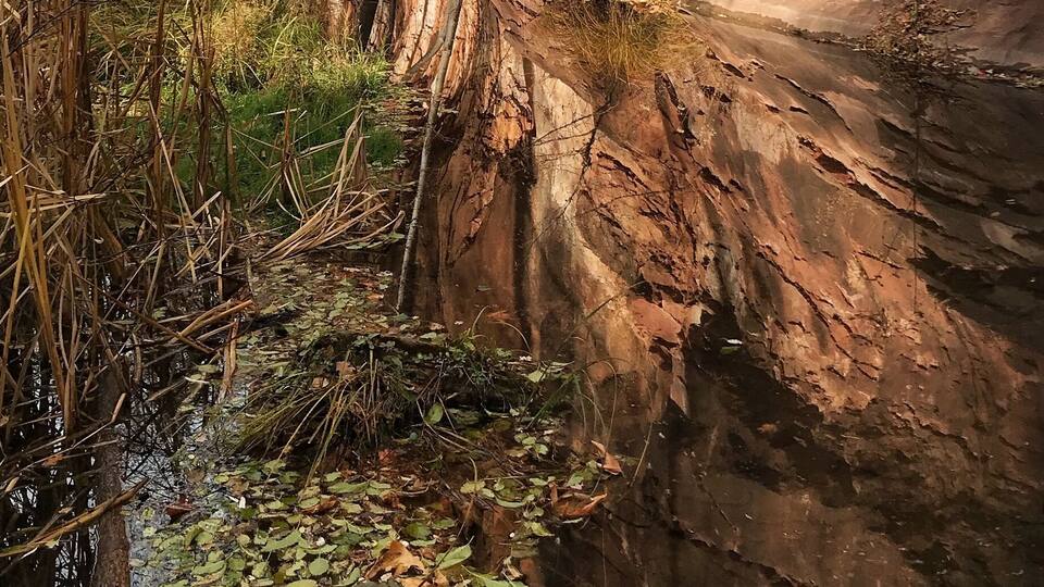 A rocky cliff with a stream reflecting the cliff.