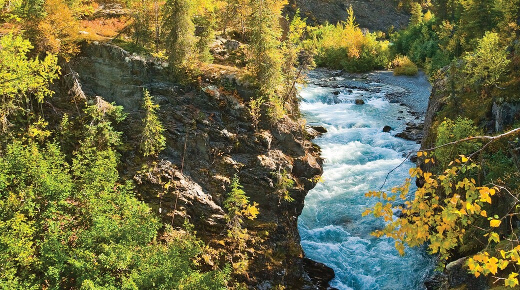 Kenai Peninsula which includes a gorge or canyon and rapids