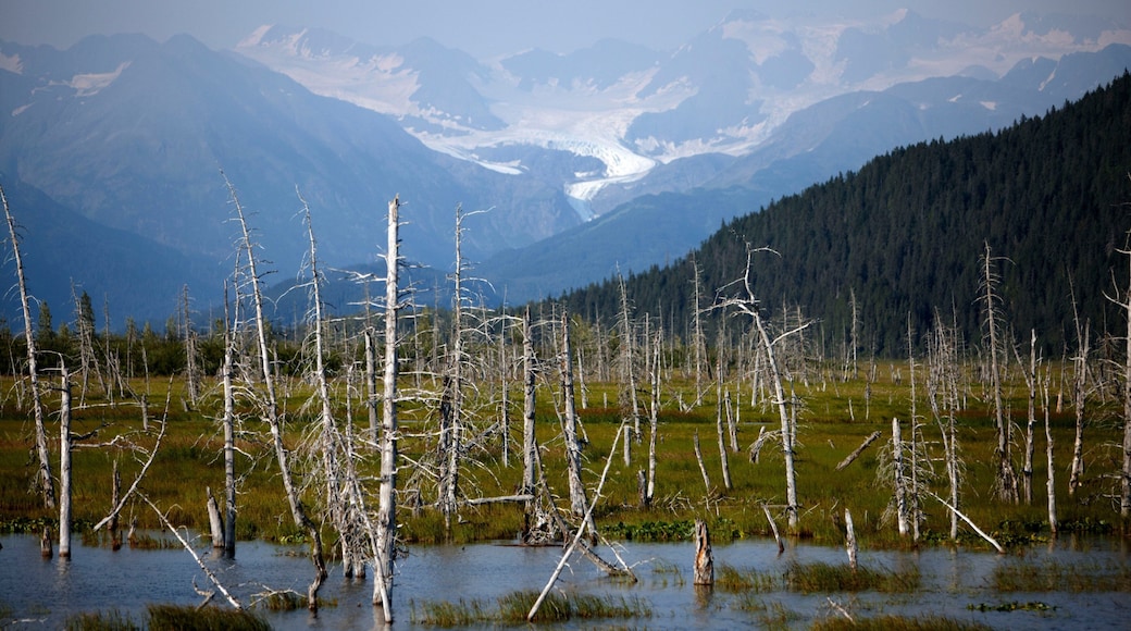 Kenai Peninsula showing a river or creek