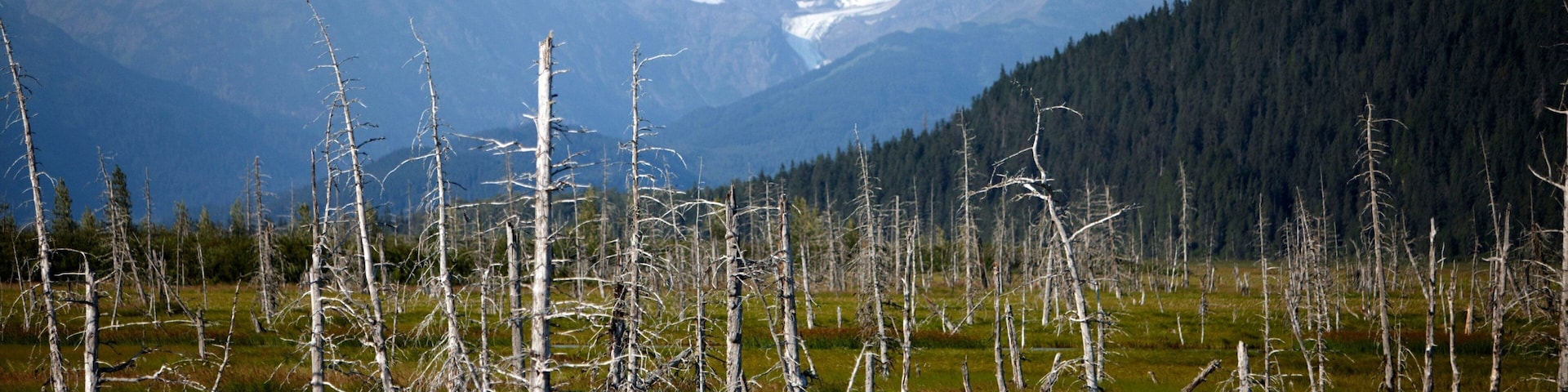 Kenai Peninsula showing a river or creek