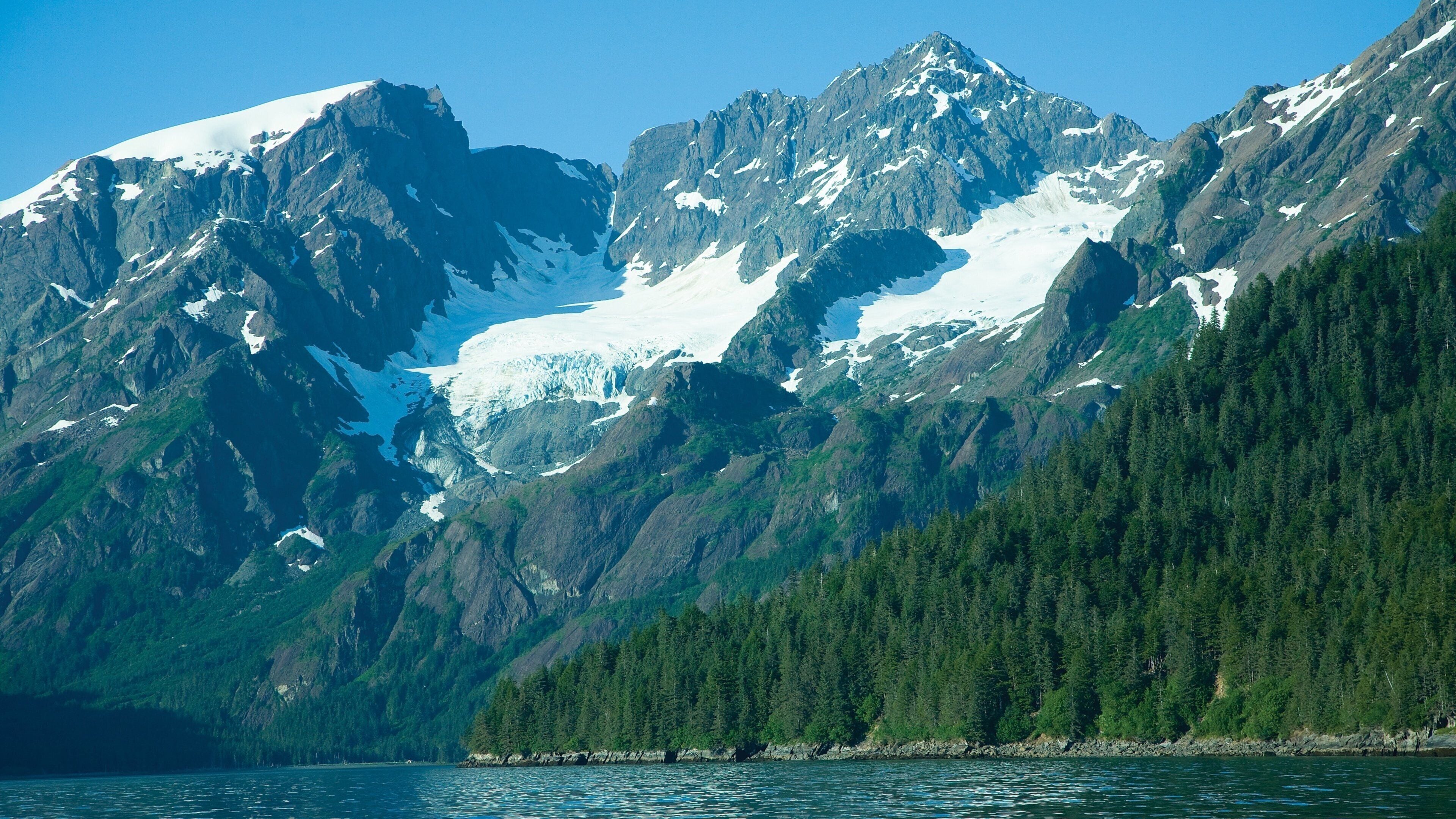A glacier between rugged mountains and dense forest.