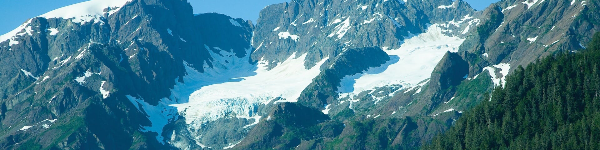 A glacier between rugged mountains and dense forest.