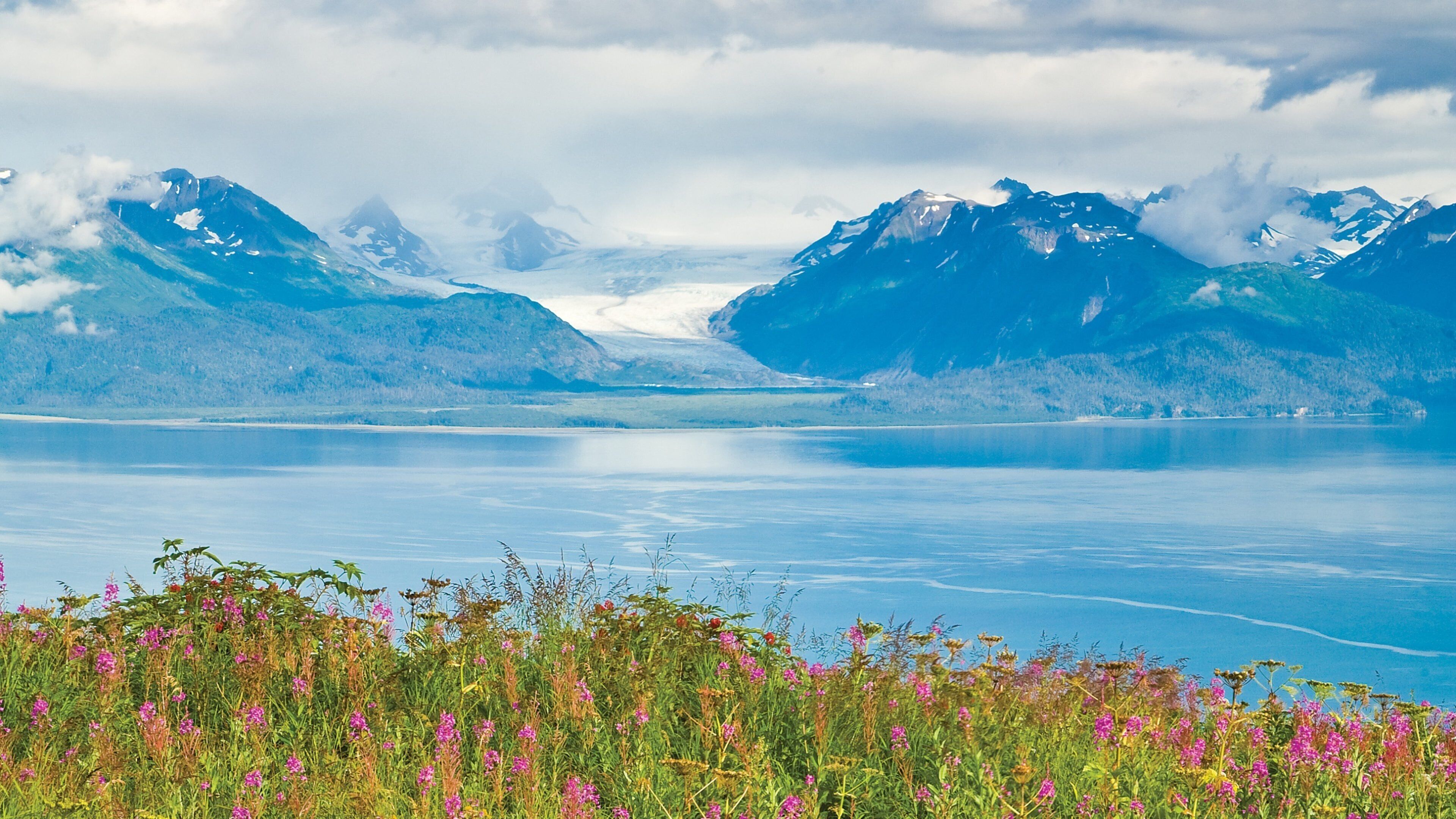 Kenai Peninsula featuring mountains, a lake or waterhole and flowers