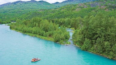 Une rivière serpente à travers une vallée densément boisée, avec des montagnes en arrière-plan.