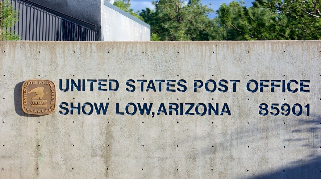 Show Low featuring signage