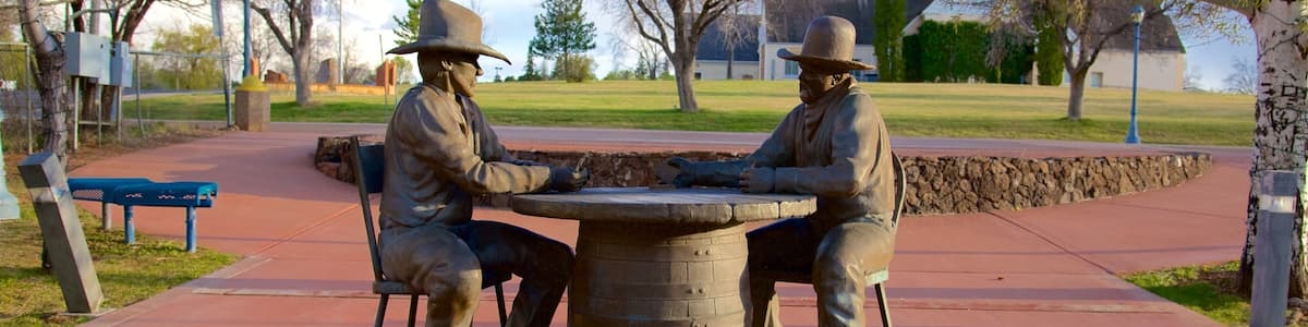 Show Low welches beinhaltet Statue oder Skulptur