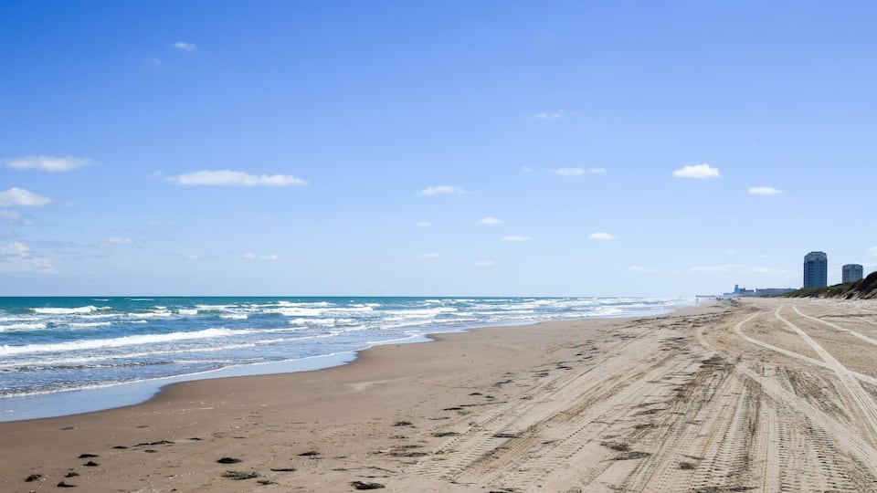 A sandy beach with tire tracks, ocean waves, and a clear sky.