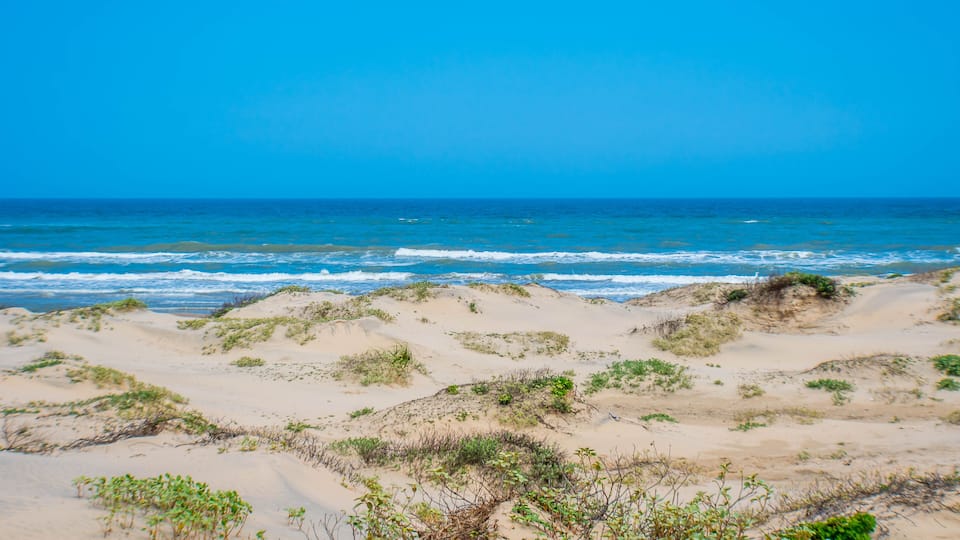 A beach with sand dunes and the ocean.