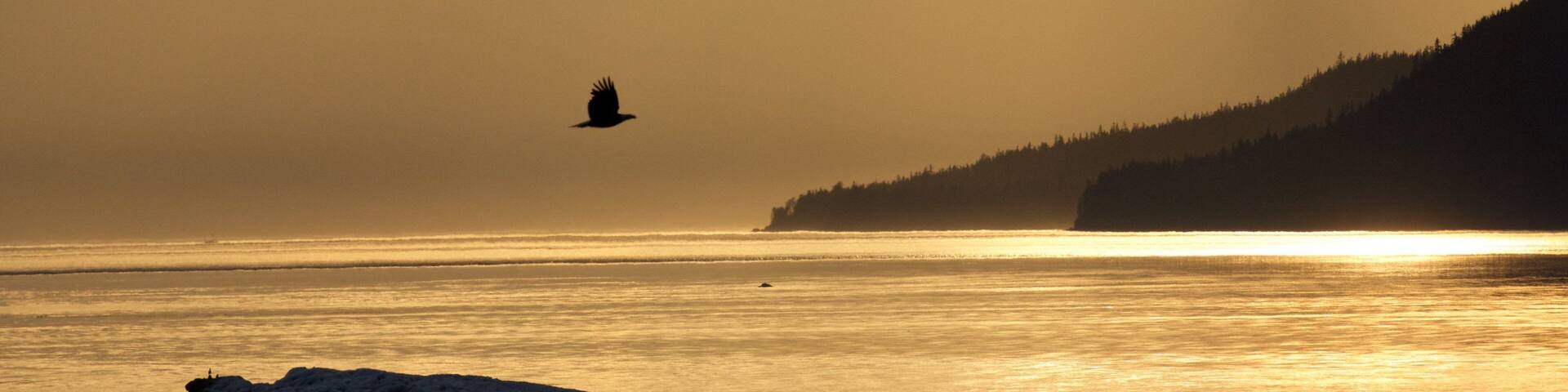 Southeast Alaska - Inside Passage showing mist or fog, a river or creek and a sunset