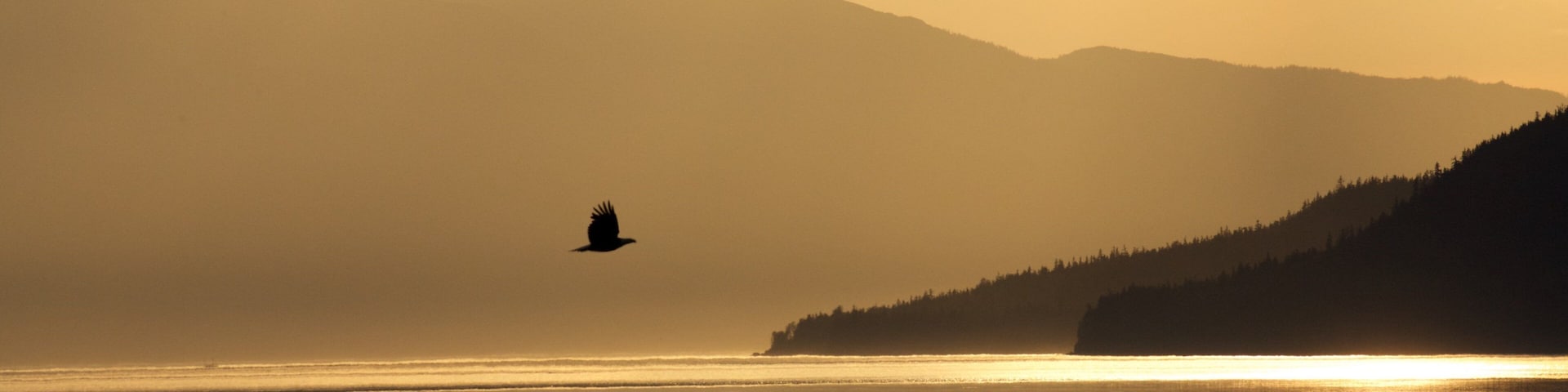 Southeast Alaska - Inside Passage showing mist or fog, a river or creek and a sunset
