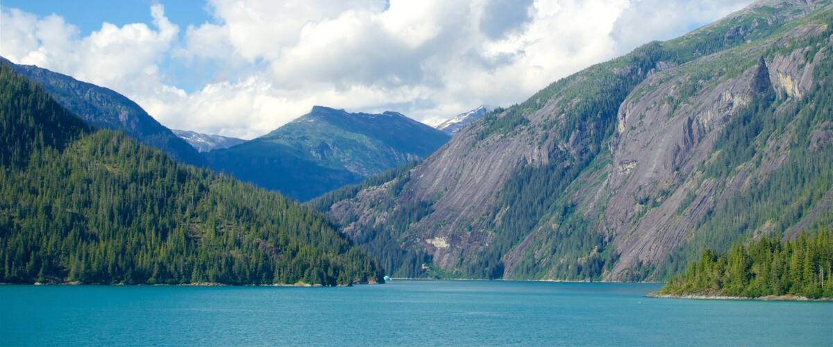 Alaska - Inside Passage mostrando montañas y vistas generales de la costa