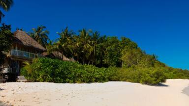 Jungle Villa In Soneva Fushi Hotel, Baa Atoll, Maldives